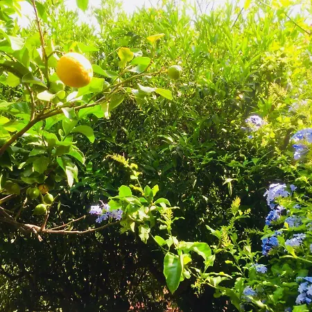 Apartman Con Giardino A 100 Metri Dal Mare *
